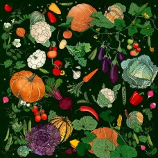 ПЛАТОК ОВОЩИ НА ЧЕРНОМ